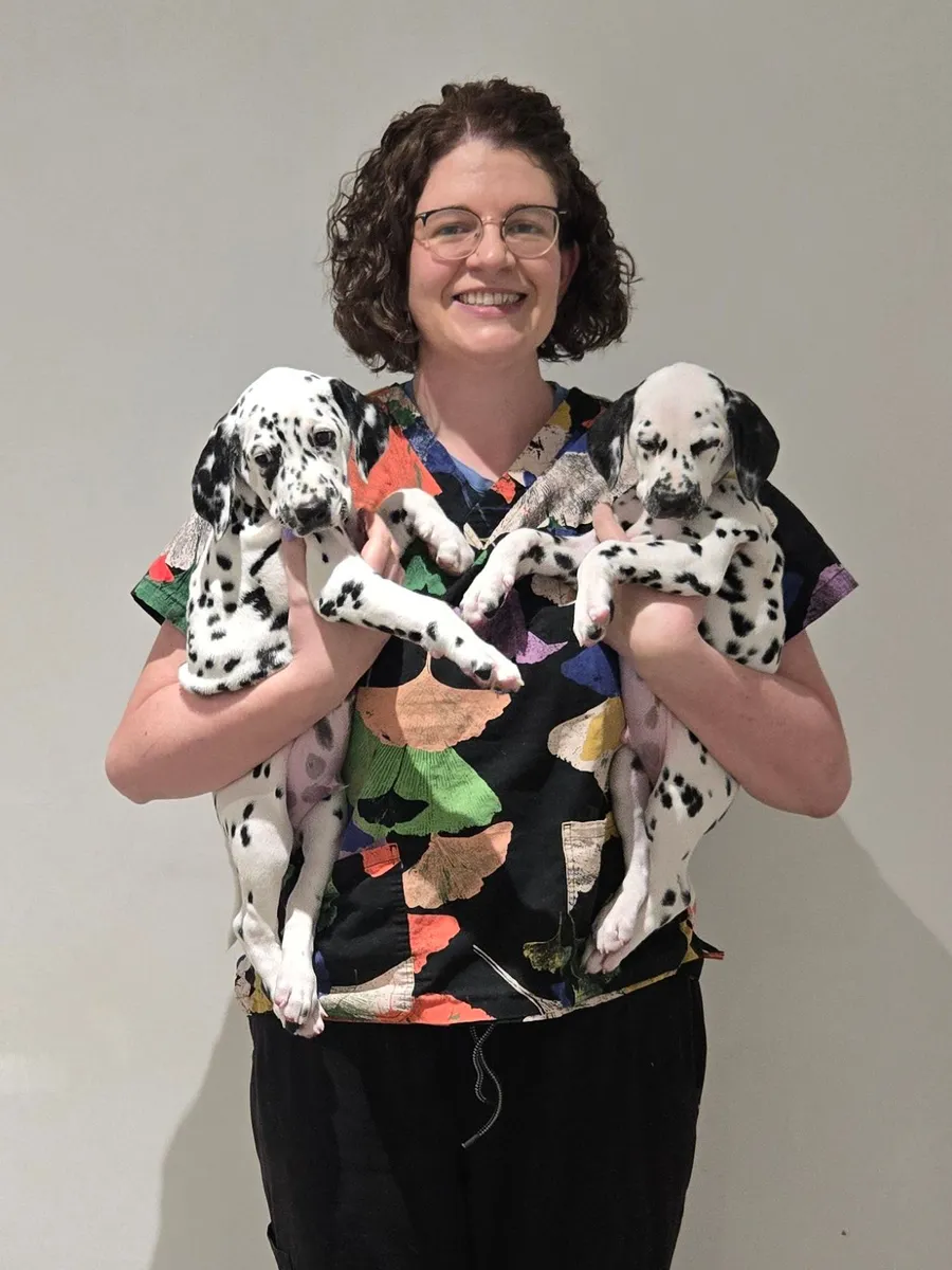 Dr Miriam Main, founder and lead vet, holding two Dalmatian puppies