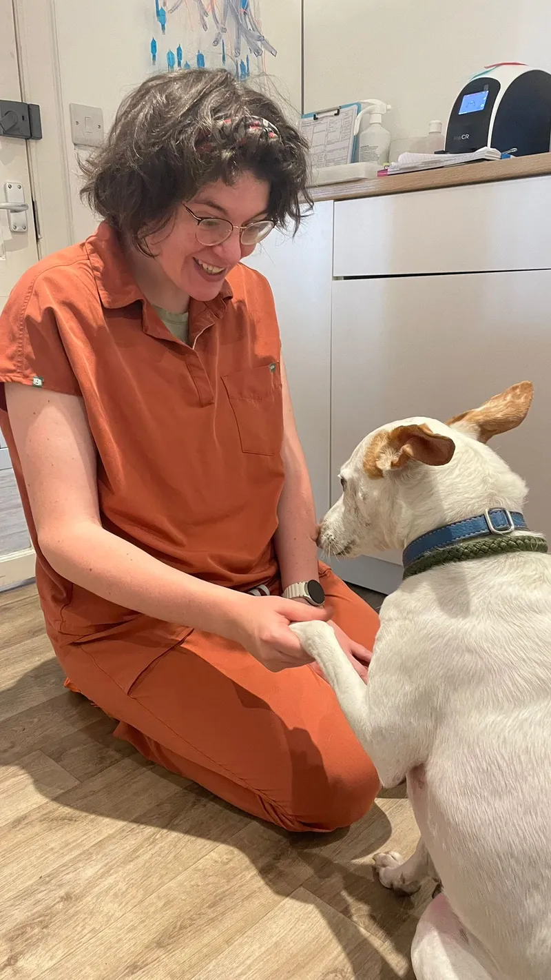 Dr Miriam Main kneeling on the floor at a nervous dog's level, gently holding its paw to build trust before an examination