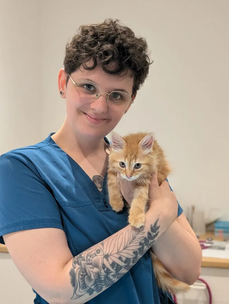 Samantha, Registered Veterinary Nurse at The Veterinary Wellness Centre, holding a ginger kitten